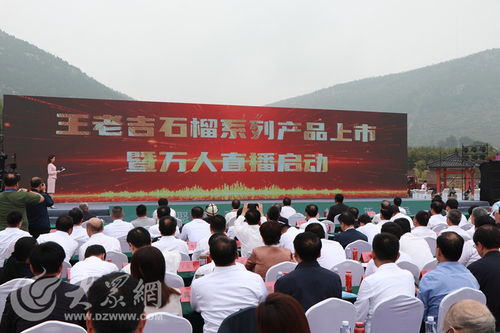 榴聚新動能 2023石榴產(chǎn)業(yè)發(fā)展大會在棗莊開幕，共繪產(chǎn)業(yè)與文化交融新藍圖